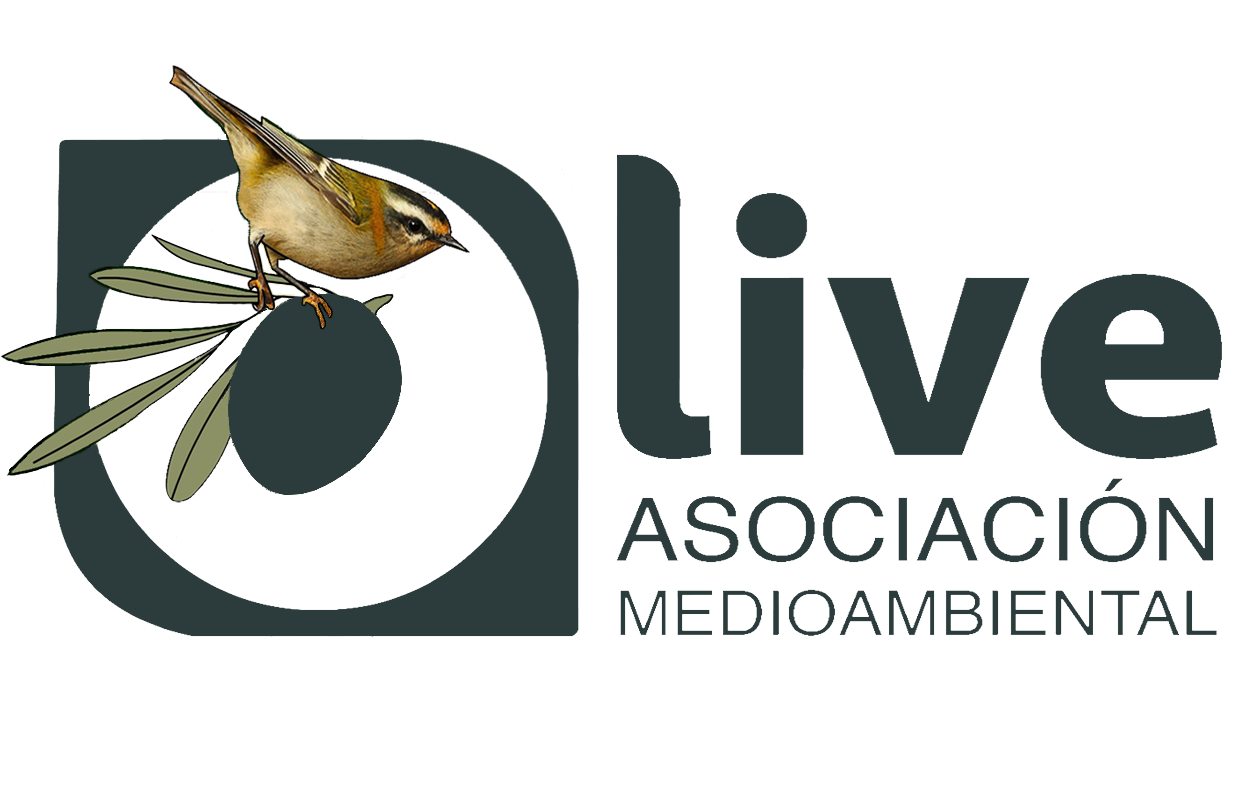 O-Live Asociación Medioambiental